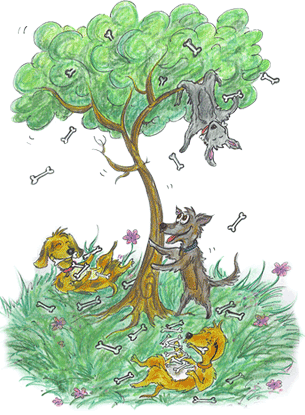 Choose Joy, motivational speakers, presentations, workshops and 				products